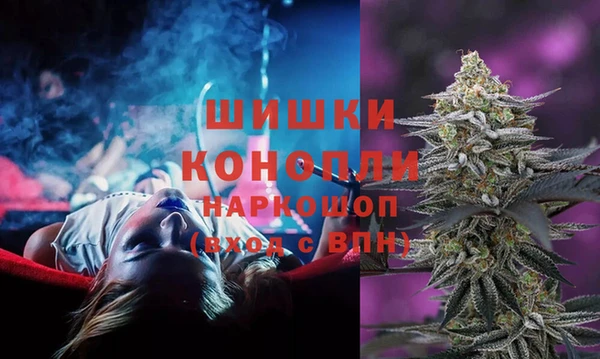 ECSTASY Богородск